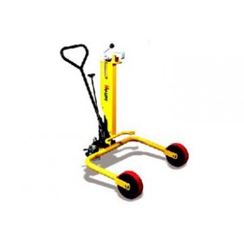 0.3 Tấn Xe Nâng DT250