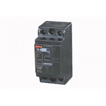 10A Cầu dao tự động 2 cực B2P10