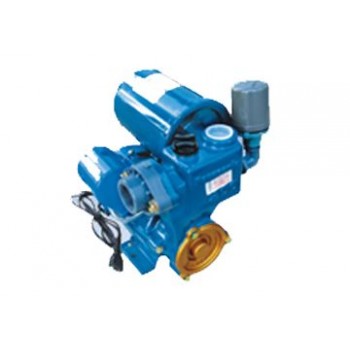 200W Bơm tăng áp A-200JAE
