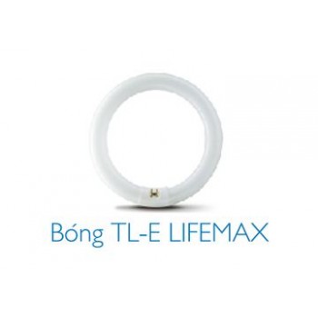 22W Bóng huỳnh quang vòng TLE-Ánh sáng trắng