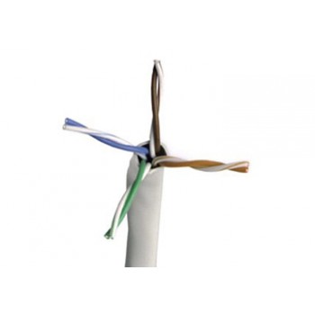 Cáp mạng AMP CAT-5E